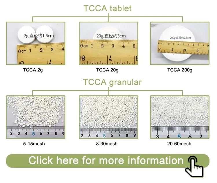 product-750-635 Water Treatment Chemical TCCA 90% Granular 200g Chlorine Tablet (6)