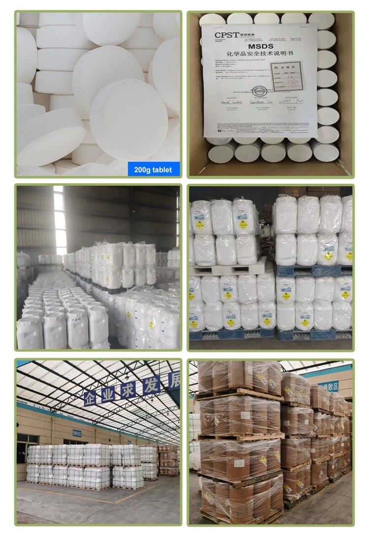 product-750-1090 Trichloroisocyanuric Acid TCCA 90 Powder 50 kg (2)