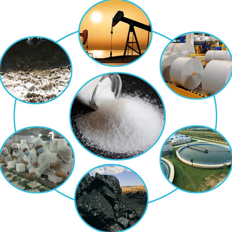 Powder Cation PAM Polyacrylamide Price Application