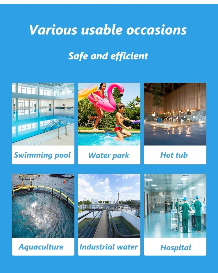 product-750-940 Sodium Dichloroisocyanurate SDIC Pool Disinfectant (6)