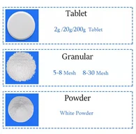 90% Powder Granular Tablet TCCA
